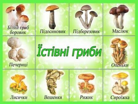 Обережно, гриби! - Яготинський ліцей № 3 Яготинської міської ради