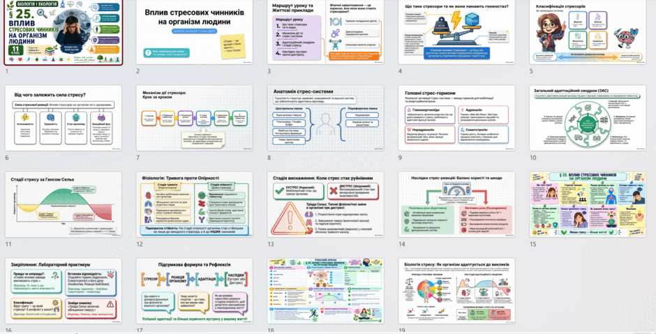 11006eoe-0988-940x479.png