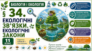 Екологічні зв’язки. Екологічні закони. Презентація, інфографіка, робочий аркуш