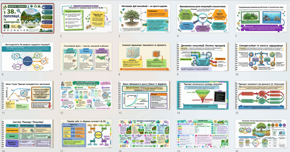 11006tcn-082b-940x494.png