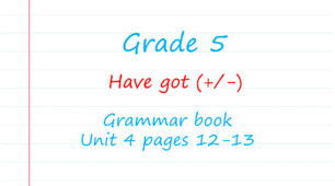 Prepare 5. Unit 4. Have got (+/-) (Grammar Book)