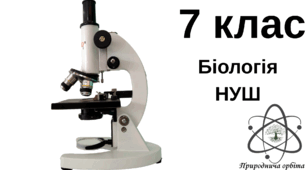 Клітина. Методи дослідження клітин. Збільшувальні прилади і правила роботи з ними.