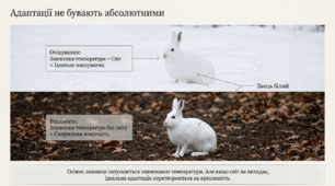 Самостійна робота. Закономірності та властивості адаптацій. Стратегії адаптацій