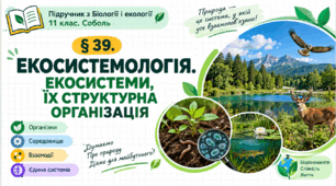 Екосистемологія. Екосистеми, їх структурна організація. Презентація, інфографіка, робочий аркуш