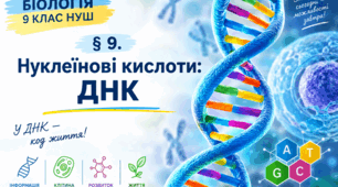 Нуклеїнові кислоти: ДНК
