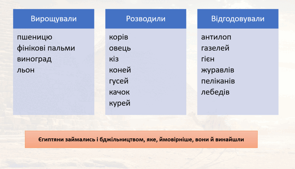 110075ld-da06-940x541.png