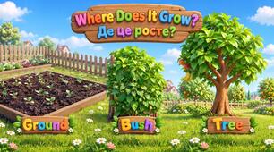 Дидактична гра англійською мовою "Де це росте?""Where Does It Grow?"