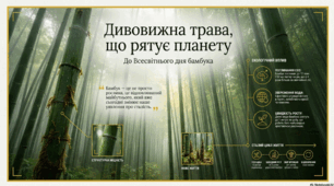 18 вересня - Всесвітній день бамбука
