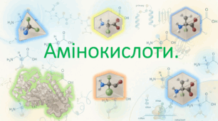 9 клас. НУШ. Біологія. Презентація до уроку: Амінокислоти