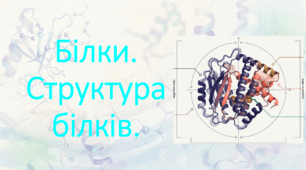9 клас. НУШ. Біологія. Презентація до уроку: Білки: рівні їхньої структурної організації, основні властивості.