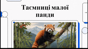 Відеоогляд "19 вересня - Міжнародний день червоної панди"