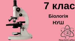 Методи дослідження клітин. Збільшувальні прилади і правила роботи з ними. 