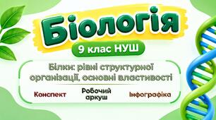 Білки: рівні структурної організації, основні властивості. Конспект уроку+робочий аркуш+інфографіка. Біологія 9 клас НУШ