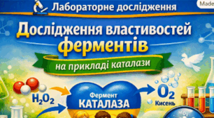 Лабораторне дослідження «Дослідження властивостей ферментів на прикладі каталази» 9 кл НУШ (презентація+пояснення та методичні рекомендації до кожного слайду)