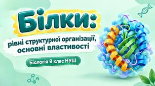 Презентація до теми: "Білки: рівні структурної організації, основні властивості". Біологія 9 клас НУШ