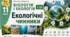 Екологічні чинники. Презентація, інфографіка, робочий аркуш