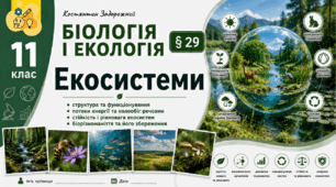Екосистеми. Презентація, інфографіка, робочий аркуш
