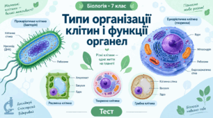 Типи організації клітин і функції органел