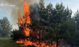 Після падіння ворожого БПЛА на Чернігівщині спалахнула пожежа в лісі