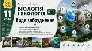 Види забруднення. Презентація, інфографіка, робочий аркуш