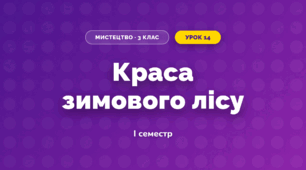 Краса зимового лісу (3 клас, Мистецтво, Рубля)