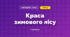 Краса зимового лісу (3 клас, Мистецтво, Рубля)