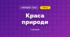 Краса природи (3 клас, Мистецтво, Кізілова)