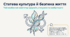 Презентація "Статева культура й безпека життя людини" 11 клас