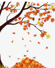 11007o5x-1aae-196x239.png