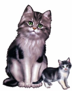 11007od3-3df9-238x301.png