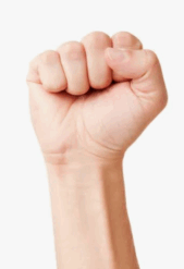 11007p3q-22ec-209x305.png