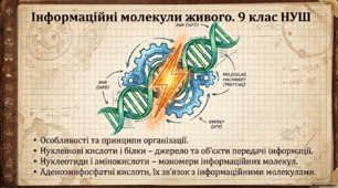 Презентація, розробка уроку, робочий аркуш з теми "Інформаційні молекули живого. Особливості та принципи організації. Нуклеїнові кислоти і білки – джерело та об’єкти передачі інформації. " 9 клас НУШ. Соболь В.І.