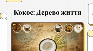 2 вересня Всесвітній день кокоса