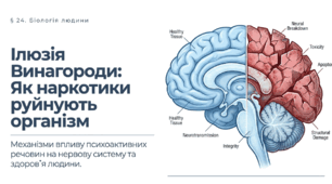 Презентація "Негативний вплив наркотиків на здоров’я людини" 11 клас