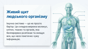 Презентація "Імунна система людини, особливості її функціонування" 11 клас