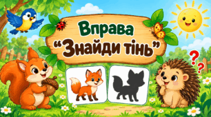 Вправа "Знайди тінь"