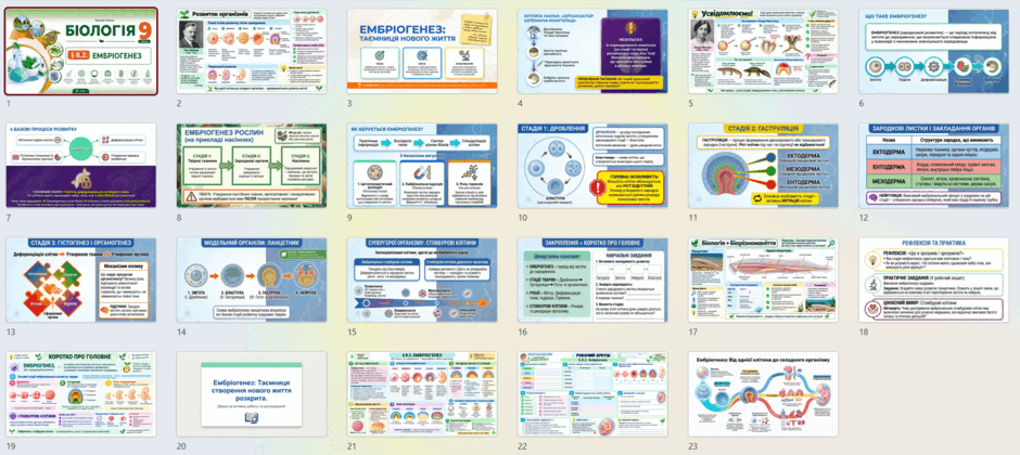 11007uy6-615f-940x420.png