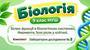 Білки: функції в біологічних системах. Ферменти, їхня роль у клітині. Конспект уроку+лабораторне дослідження. Біологія 9 клас НУШ