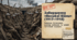 Завершення Першої Світової війни: події 1917-1918 рр.