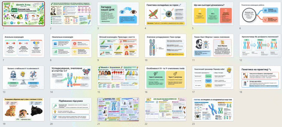110083gs-0941-940x423.png