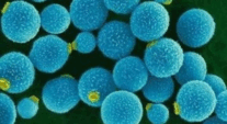 110084ky-d561-207x113.png