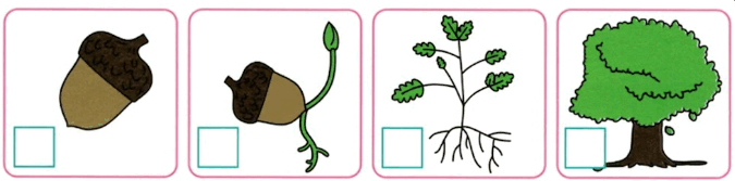 110085gw-82f7-675x167.png