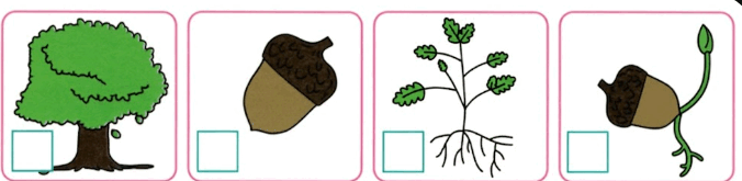 110085ha-710d-676x165.png
