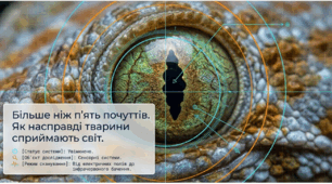 Подразливість у тварин. Рецептори. Сенсорні системи тварин (профільний рівень)