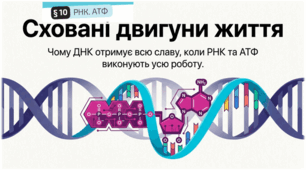 10. РНК. АТФ
