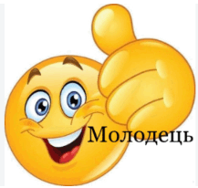 110088zo-159e-217x206.png