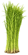 1100897u-f5b7-55x109.png