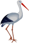 1100897z-d8c9-57x86.png