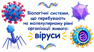 Біологічні системи, що перебувають на молекулярному рівні організації живого: віруси.