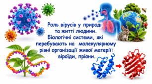 Роль вірусів у природі та житті людини. Біологічні системи, які перебувають на молекулярному рівні організації живого: віроїди, пріони.